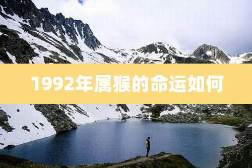 1992年属猴的命运如何