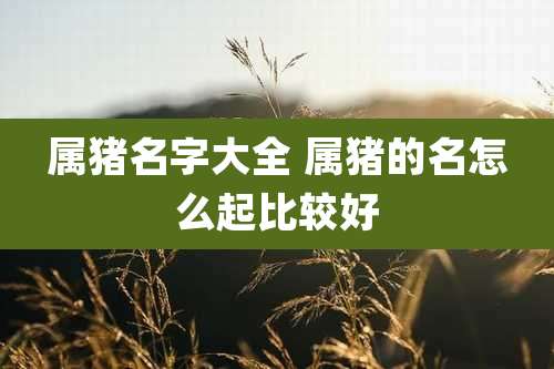 属猪名字大全 属猪的名怎么起比较好