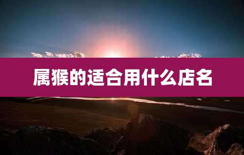 属猴的适合用什么店名