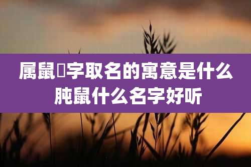 属鼠杍字取名的寓意是什么 肫鼠什么名字好听