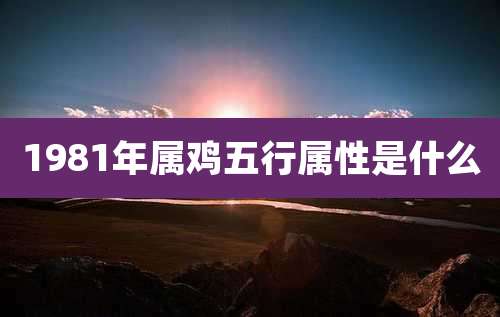 1981年属鸡五行属性是什么