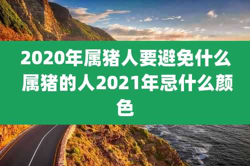 2020年属猪人要避免什么 属猪的人2021年忌什么颜色