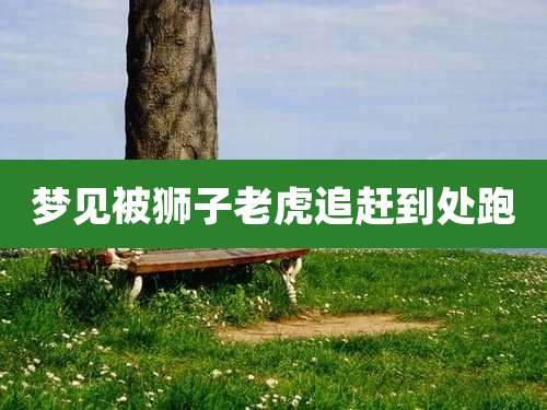 梦见被狮子老虎追赶到处跑