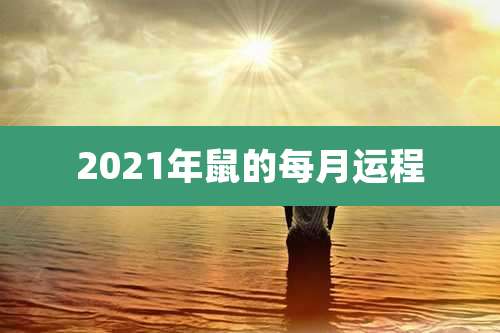 2021年鼠的每月运程
