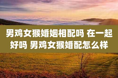 男鸡女猴婚姻相配吗 在一起好吗 男鸡女猴婚配怎么样