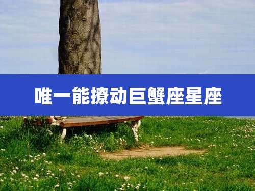 唯一能撩动巨蟹座星座