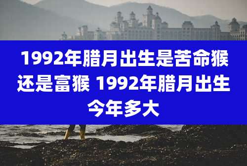 1992年腊月出生是苦命猴还是富猴 1992年腊月出生今年多大