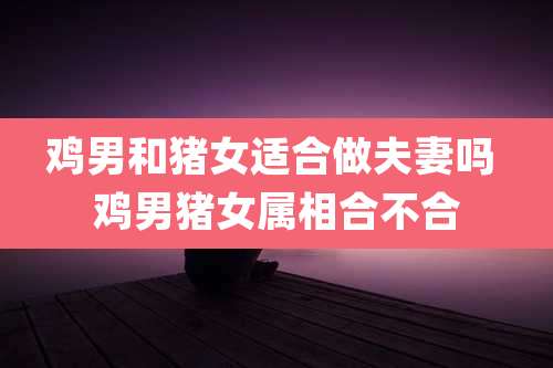 鸡男和猪女适合做夫妻吗 鸡男猪女属相合不合