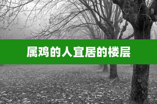 属鸡的人宜居的楼层
