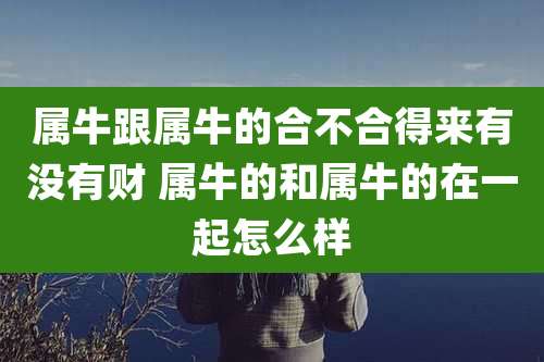 属牛跟属牛的合不合得来有没有财 属牛的和属牛的在一起怎么样