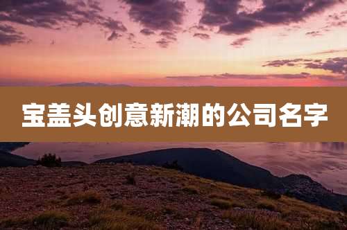 宝盖头创意新潮的公司名字