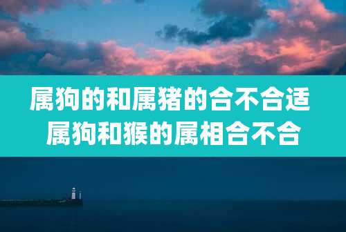属狗的和属猪的合不合适 属狗和猴的属相合不合