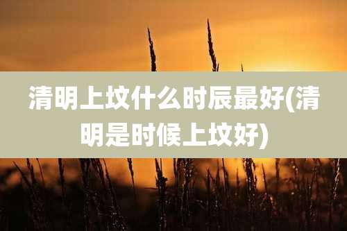 清明上坟什么时辰最好(清明是时候上坟好)