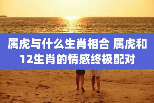 属虎与什么生肖相合 属虎和12生肖的情感终极配对