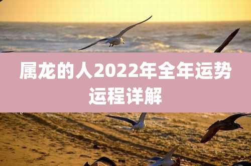 属龙的人2022年全年运势运程详解