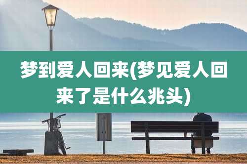 梦到爱人回来(梦见爱人回来了是什么兆头)
