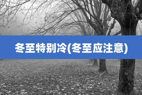 冬至特别冷(冬至应注意)