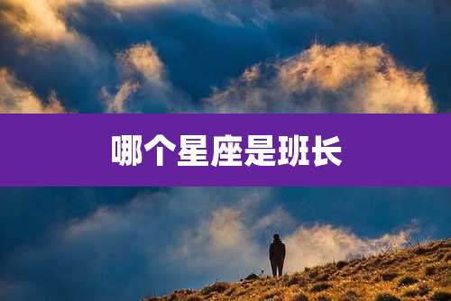 哪个星座是班长
