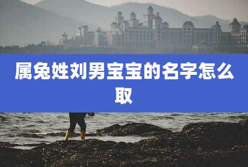 属兔姓刘男宝宝的名字怎么取