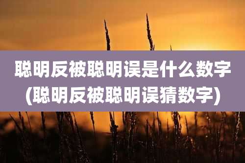 聪明反被聪明误是什么数字(聪明反被聪明误猜数字)