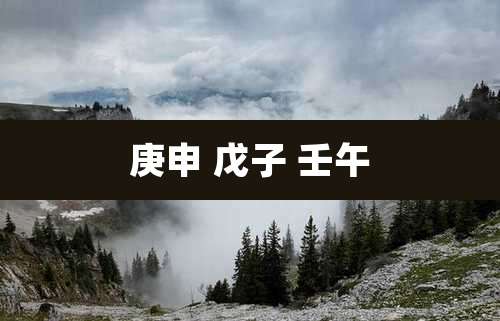 庚申 戊子 壬午