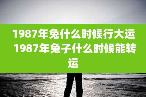 1987年兔什么时候行大运 1987年兔子什么时候能转运