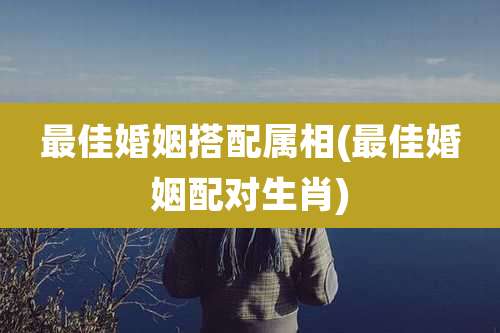 最佳婚姻搭配属相(最佳婚姻配对生肖)