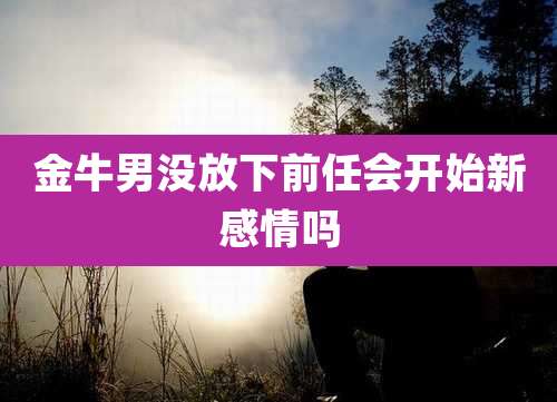 金牛男没放下前任会开始新感情吗