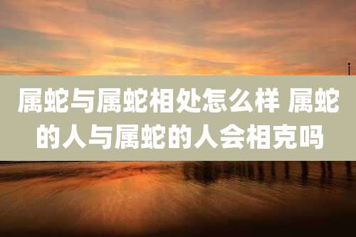 属蛇与属蛇相处怎么样 属蛇的人与属蛇的人会相克吗
