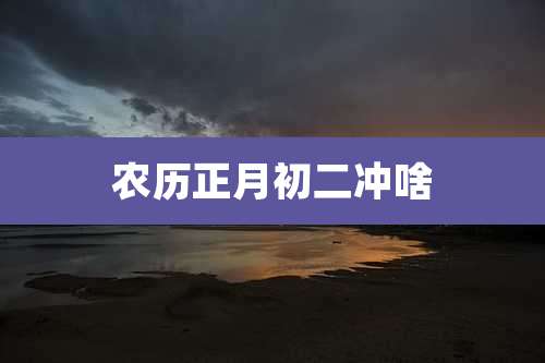 农历正月初二冲啥