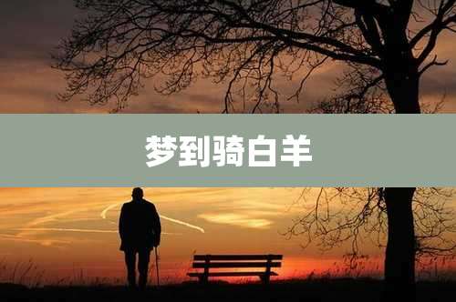 梦到骑白羊