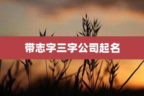 带志字三字公司起名
