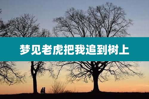 梦见老虎把我追到树上
