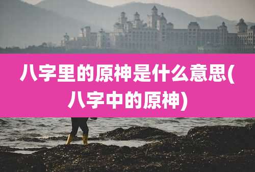 八字里的原神是什么意思(八字中的原神)
