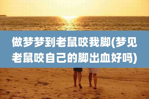 做梦梦到老鼠咬我脚(梦见老鼠咬自己的脚出血好吗)