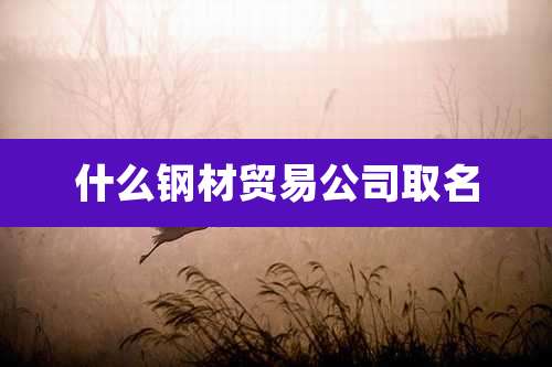 什么钢材贸易公司取名