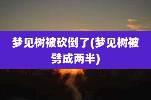 梦见树被砍倒了(梦见树被劈成两半)