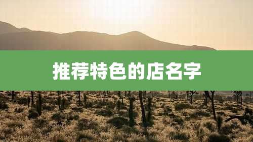 推荐特色的店名字