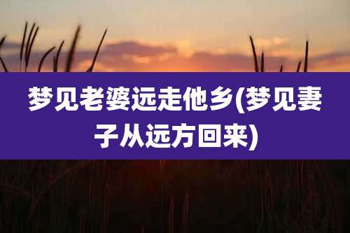 梦见老婆远走他乡(梦见妻子从远方回来)