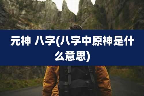 元神 八字(八字中原神是什么意思)