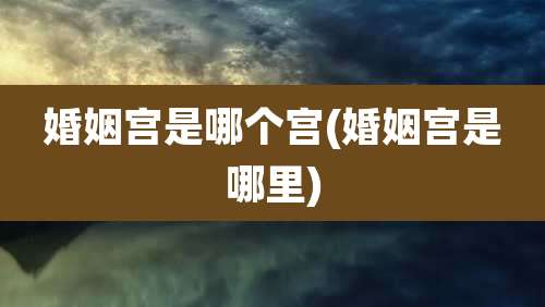 婚姻宫是哪个宫(婚姻宫是哪里)