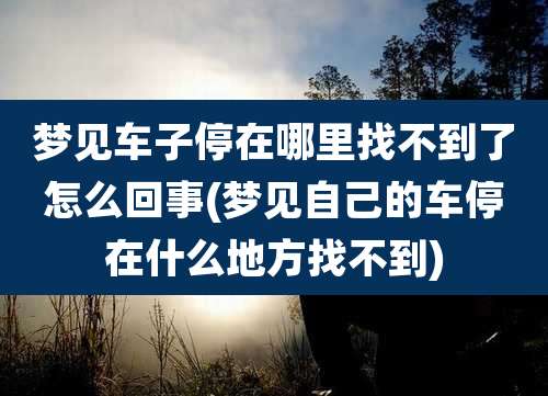 梦见车子停在哪里找不到了怎么回事(梦见自己的车停在什么地方找不到)