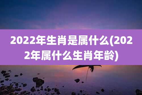 2022年生肖是属什么(2022年属什么生肖年龄)