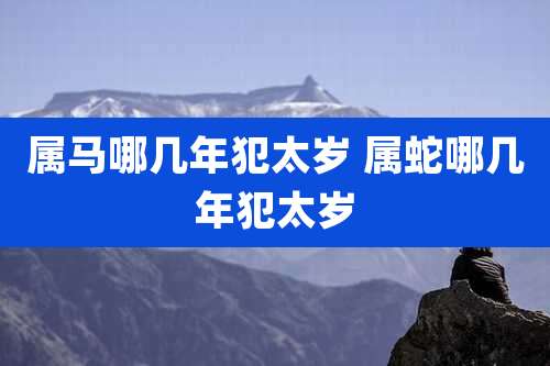 属马哪几年犯太岁 属蛇哪几年犯太岁