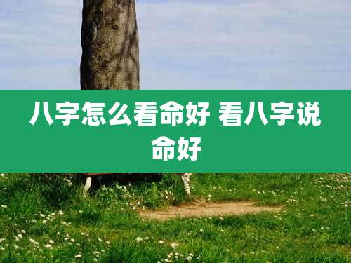 八字怎么看命好 看八字说命好