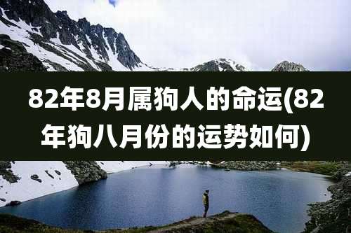 82年8月属狗人的命运(82年狗八月份的运势如何)