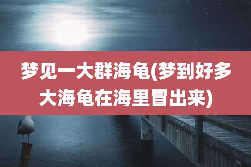 梦见一大群海龟(梦到好多大海龟在海里冒出来)