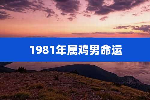 1981年属鸡男命运