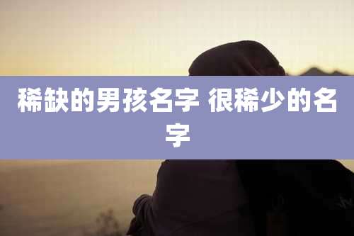 稀缺的男孩名字 很稀少的名字