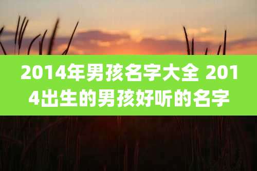 2014年男孩名字大全 2014出生的男孩好听的名字